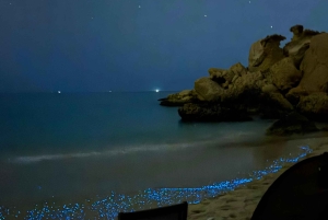 マスカット：BBQディナー付きのビーチキャンプ（1泊）をお楽しみください