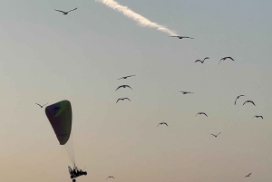 Muscat: Flygupplevelse med paramotor