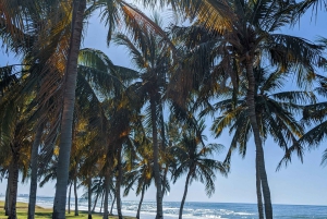 Mascate : visites touristiques privées