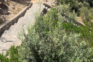 Maskat: Prywatny transfer do/z Jabal Akhdar-Alila Hotel