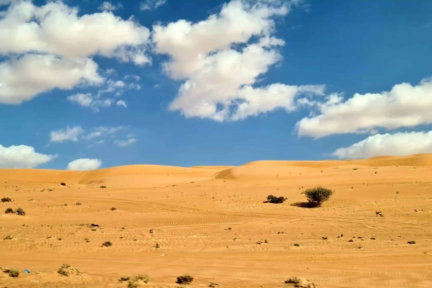 Muscat: Private Wadi Hawr and Wahiba Sands Desert Day Trip