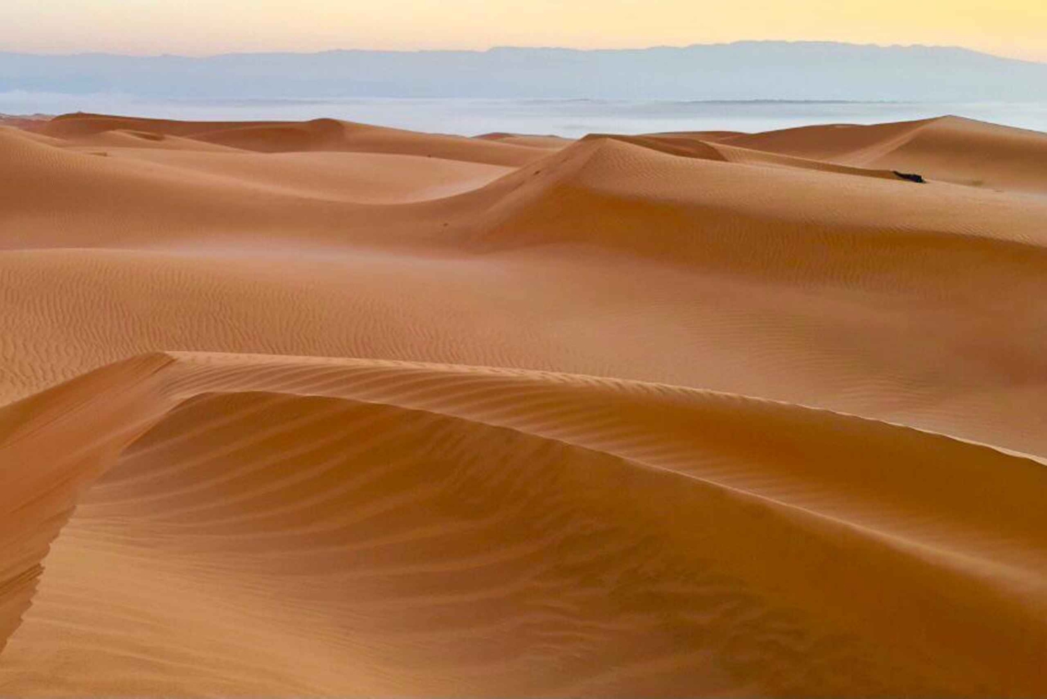 Muscat: Private Wadi Hawr and Wahiba Sands Desert Day Trip