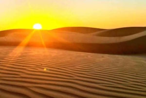 Muscat: Yksityinen päiväretki Wadi Hawriin ja Wahiba Sandsin aavikolle