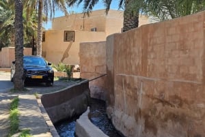 Muscat: heldagstur til Nakhal, Rustaq og varme kilder