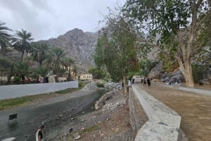 Muscat: heldagstur til Nakhal, Rustaq og varme kilder