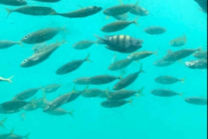 Maskat: rejs półpodwodny ze snorkelowaniem i przekąskami