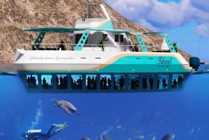 Muscat: Semi-Submarine Tour with Snorkeling & Cruise