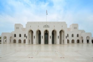 Tour panoramico della città di Muscat in forma privata