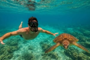 Muscat: Snorkel & Kayak with Turtles at Daymaniyat