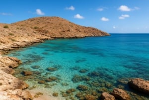 Muscat: Snorkel & Kayak with Turtles at Daymaniyat