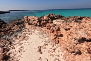 Muscat: Snorkel & Kayak with Turtles at Daymaniyat