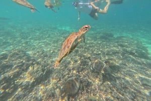 Muscat: Snorkel & Kayak with Turtles at Daymaniyat
