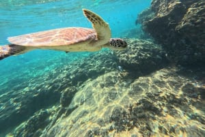 Muscat: Snorkel & Kayak with Turtles at Daymaniyat
