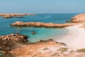 Muscat: Snorkeling Adventure at Daymaniyat Island