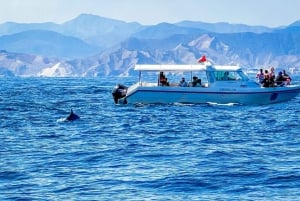 Muscat: Snorkeling and Dolphin Watching Tour