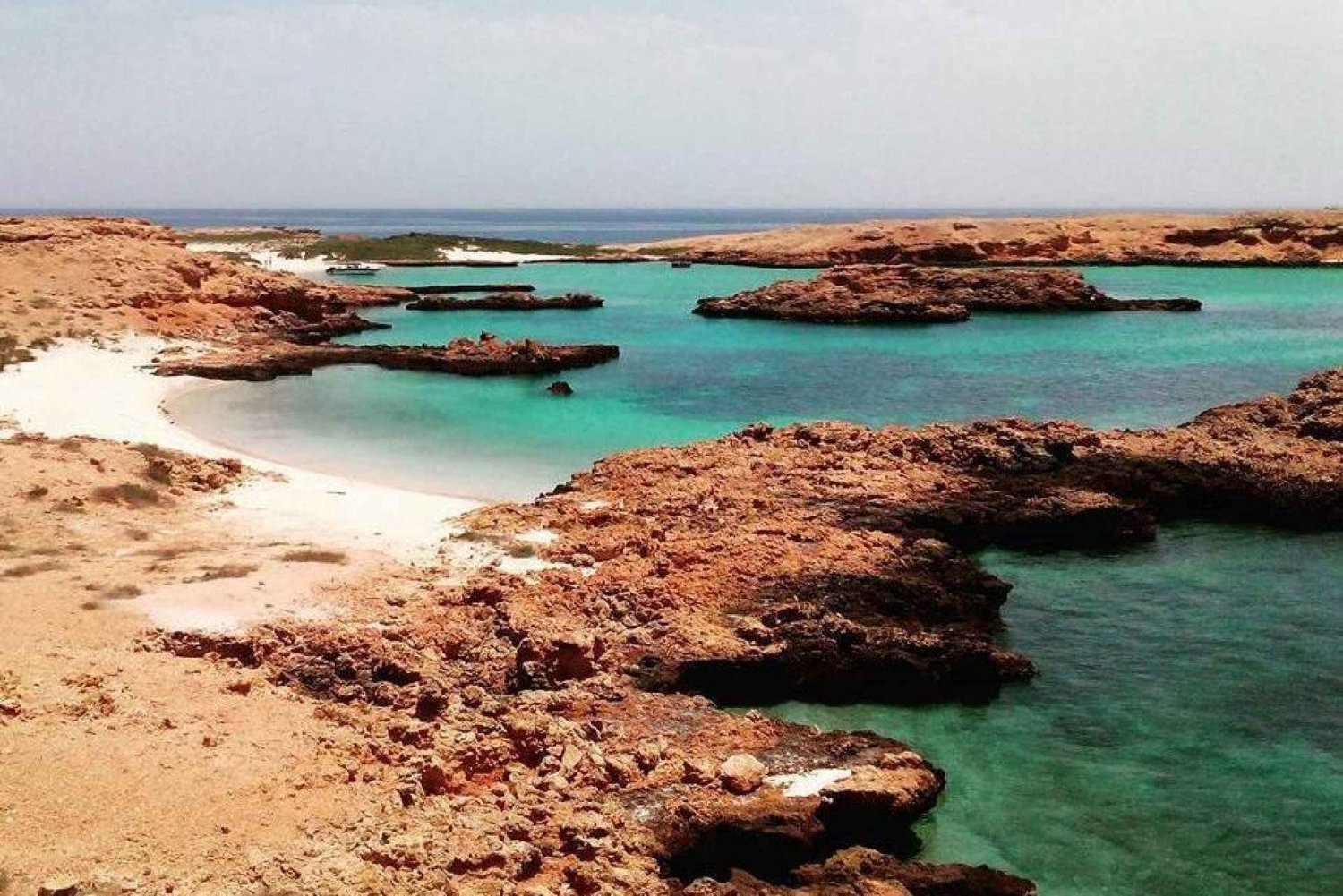 Muscat: Snorkeling Cruise to Daymaniat Islands Reserve