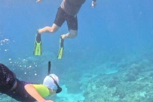 Mascate : excursion de plongée en apnée sur l'île de Dimaniyat