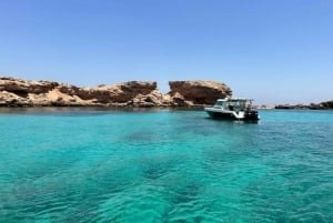 Muscat: Wycieczka z rurką na wyspę Dimaniyat
