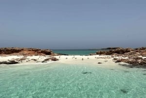 Muscat: Wycieczka z rurką na wyspę Dimaniyat