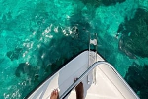 Muscat: gita di snorkeling all'isola di Dimaniyat