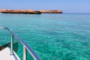 Muscat: Snorkeltrip naar Dimaniyat eiland