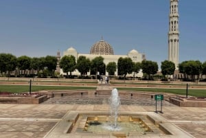 Muscat: Sultan Qaboos Grand Mosque Tour with Omani Lunch