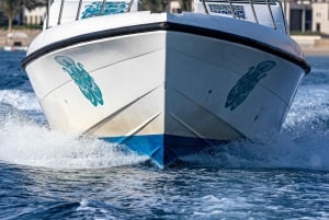 Mascate : Croisière au coucher du soleil avec le fort d'Al Jalali et le fort de Mirani