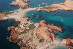 Tur fra Muscat til Dimaniyat: Snorkelutflukt
