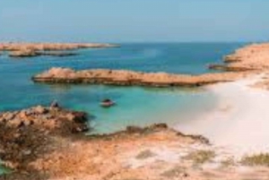 Muscat to Dimaniyat Tour: Snorkel Excursion