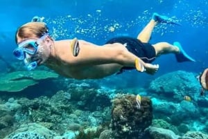 Tur fra Muscat til Dimaniyat: Snorkelutflukt
