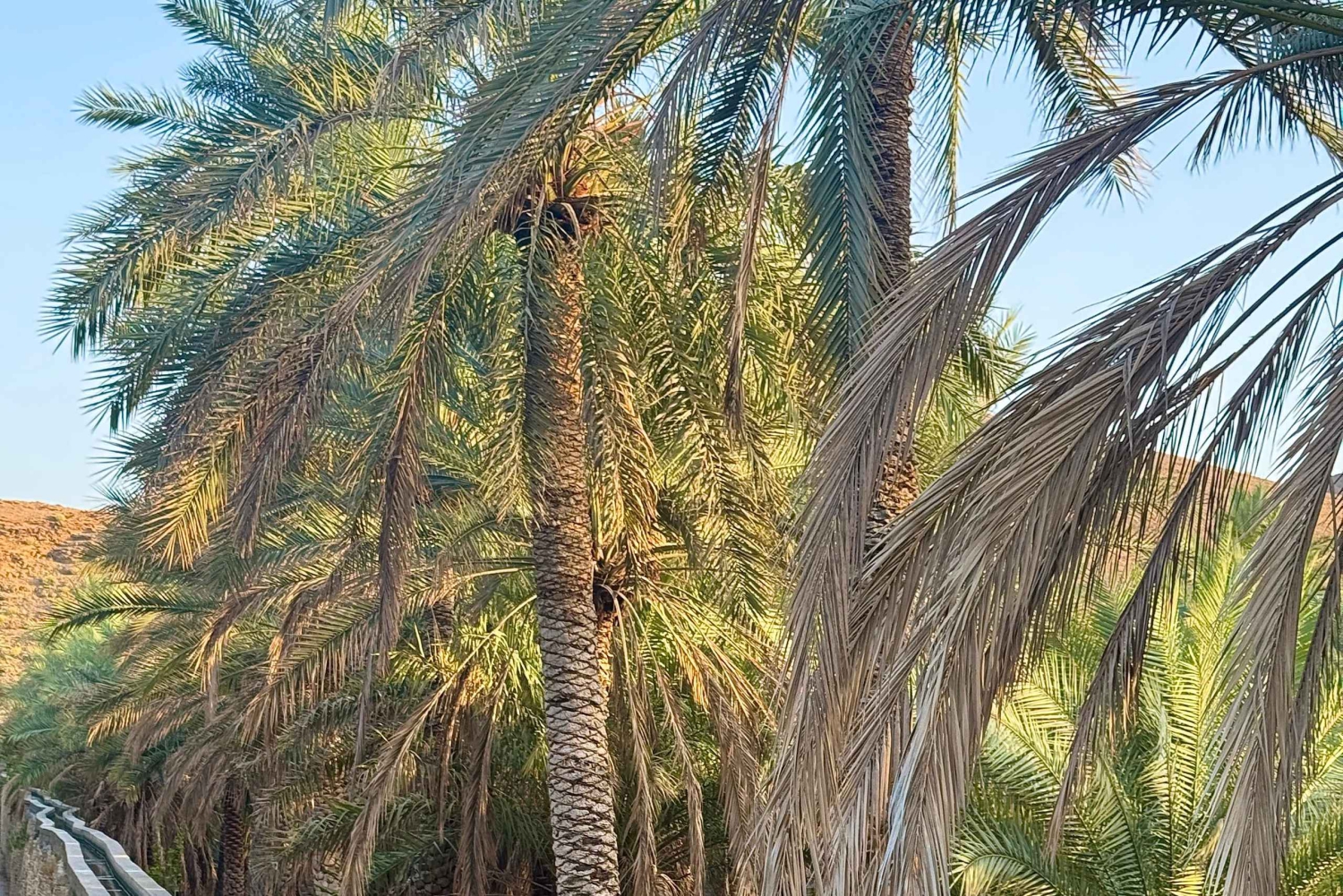 من مسقط إلى نزوى: جولة خاصة في القلعة والسوق والفلج والمتحف