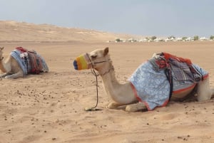 Privéverblijf van Muscat naar Wahiba-woestijn (Pick & Drop)