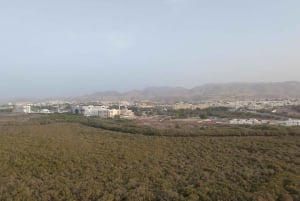 Tour de medio día por Mascate