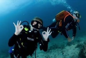 MUSCAT: TRY-DIVE & SNORKELING Daymaniyat Island + BBQ Lunch