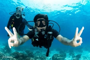 MUSCAT: TRY-DIVE & SNORKELING Daymaniyat Island + BBQ Lunch