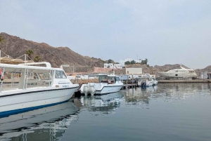 Mascate: ¡avistamiento de delfines y esnórquel VIP!