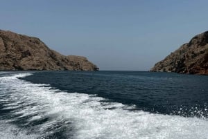 Mascate: ¡avistamiento de delfines y esnórquel VIP!