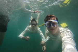 Mascate: ¡avistamiento de delfines y esnórquel VIP!