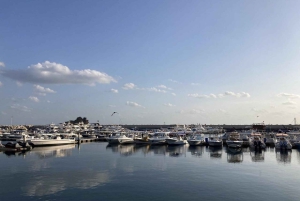 Mascate: ¡avistamiento de delfines y esnórquel VIP!