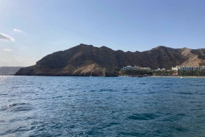 Mascate: ¡avistamiento de delfines y esnórquel VIP!