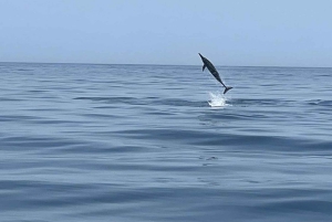 Mascate: ¡avistamiento de delfines y esnórquel VIP!