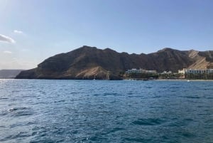 Muscat: VIP-delfiinien katselu ja snorklaus