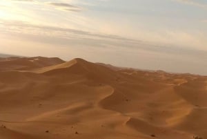 Muscat: Wadi Bani Khalid & solnedgång vid Wahiba Sands