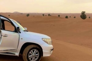 Muscat: Wadi Bani Khalid & solnedgång vid Wahiba Sands