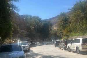 Muscat: Wadi Bani Khalid & solnedgång vid Wahiba Sands