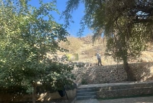 Muscat: Wadi Bani Khalid & solnedgång vid Wahiba Sands