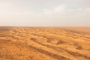 Mascate: Oasis de Wadi Bani Jalid y Excursión por el Desierto de Omán