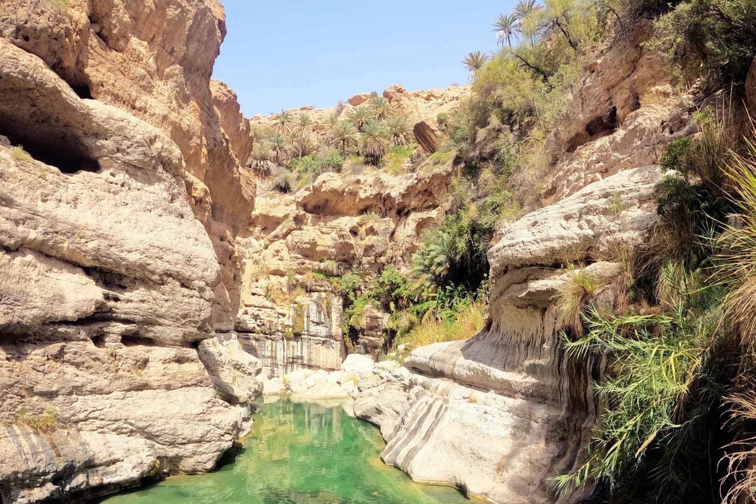 مسقط: مغامرة التجديف في وادي ميبام مع الصعود على الصخور