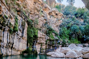 Mascate: Aventura de canyoning em Wadi Mibam com rapel