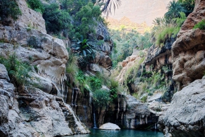 Mascate: Aventura de canyoning em Wadi Mibam com rapel